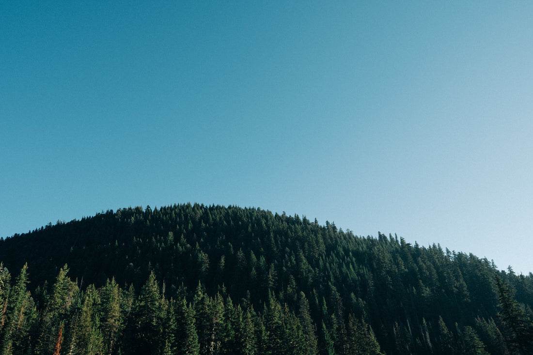 Welcome to Troodos Collective